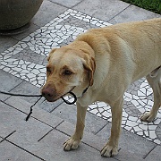 Picture 020